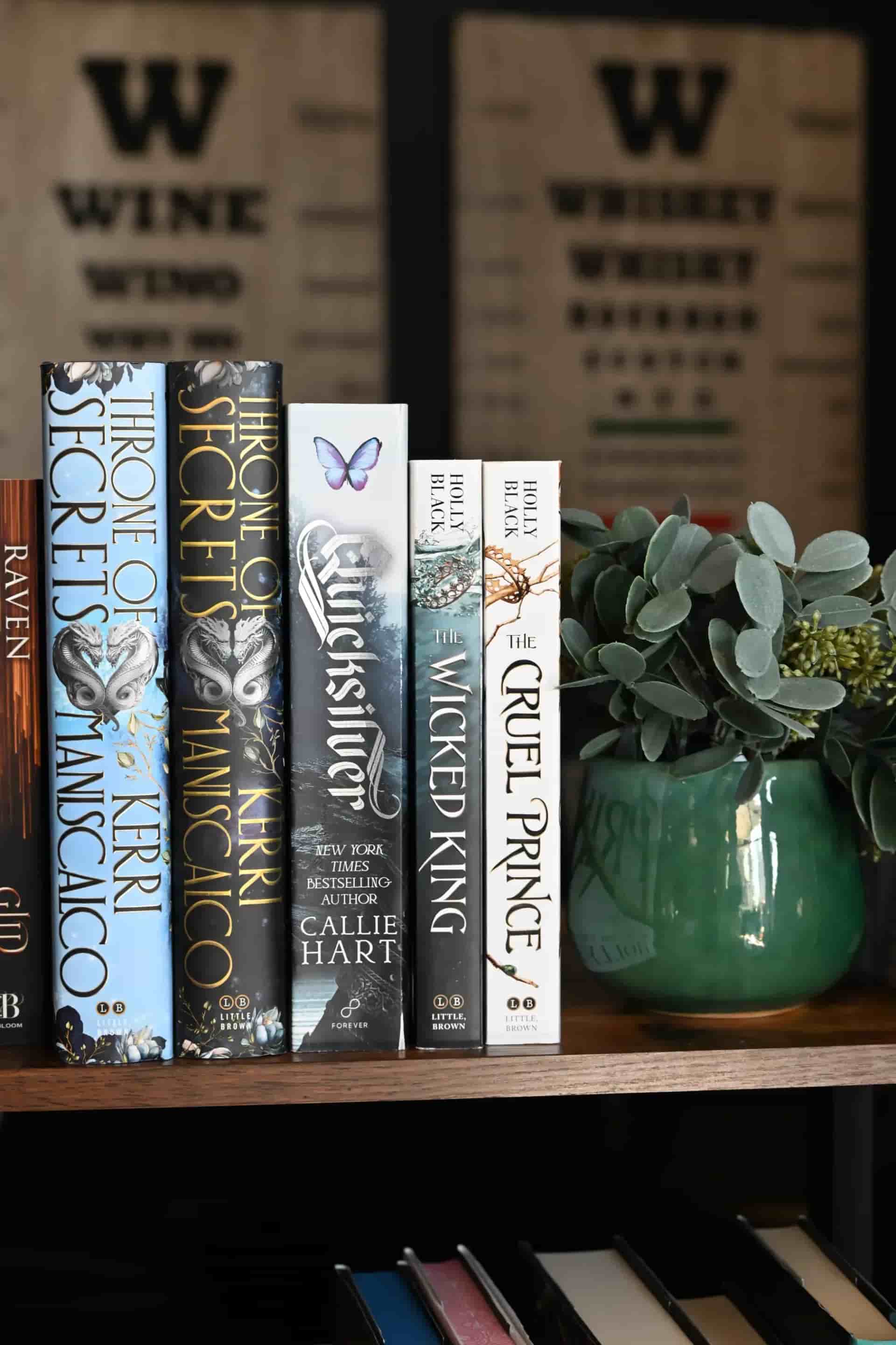 Books on a shelf next to potted plant