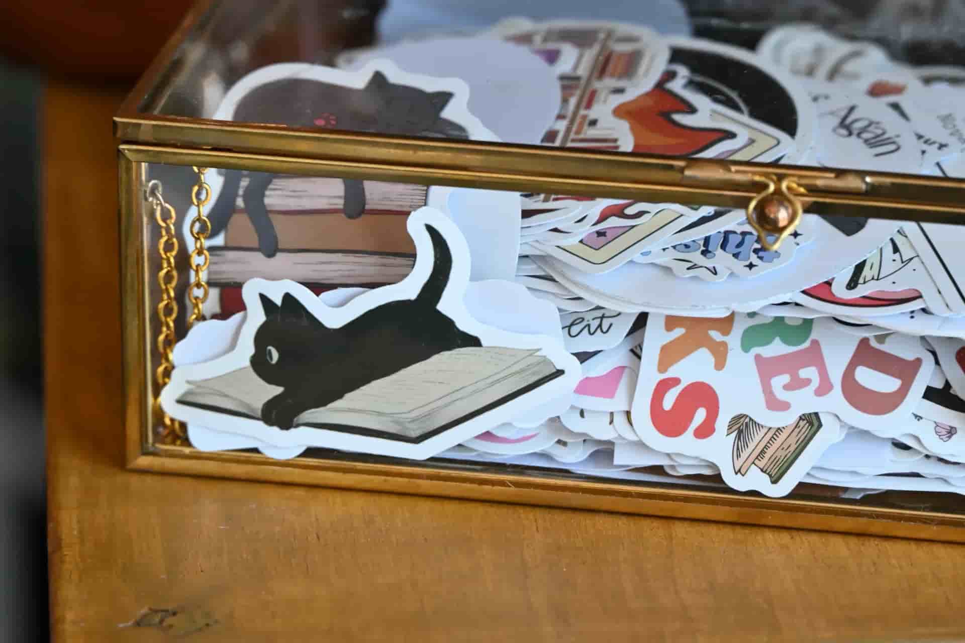 Glass box of stickers, featuring a sticker of a cat laying in an open book